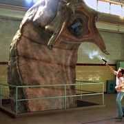 点击查看图片 蒙古死亡蠕虫 Mongolian Death Worm