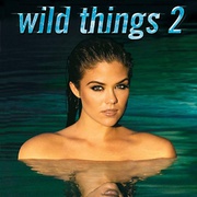 玩尽杀绝2 Wild Things 2