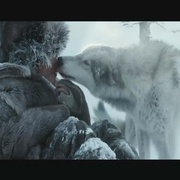 狼 Loup
