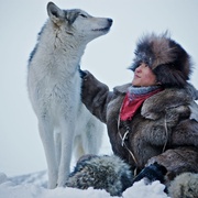 狼 Loup