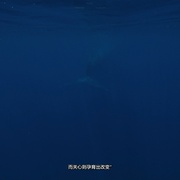 塑料海洋 A Plastic Ocean