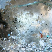 塑料海洋 A Plastic Ocean