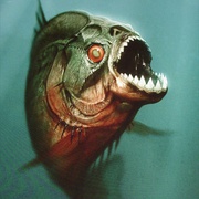 食人鱼3D Piranha