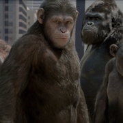 猩球崛起 Rise of the Planet of the Apes