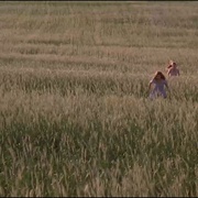 无情大地有情天 Flesh and Bone