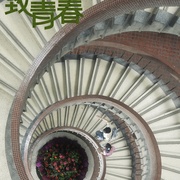 致我们终将逝去的青春