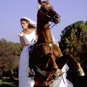 落跑新娘 Runaway Bride