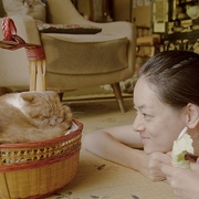 租赁猫 レンタネコ