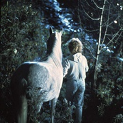 恋马狂 Equus