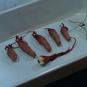 活跳尸2 Bride of Re-Animator