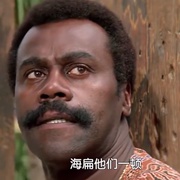 全面追捕令 The Enforcer