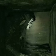 死亡地穴 The Crypt