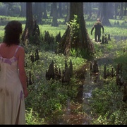 沼泽怪物 Swamp Thing