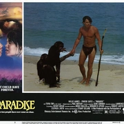 点击查看图片 温馨赤子情 Paradise