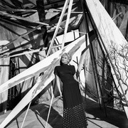 上海小姐 The Lady from Shanghai