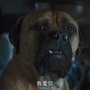 怪医杜立德 Doctor Dolittle