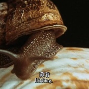 凶眼 Anguish
