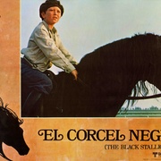 黑神驹 The Black Stallion