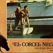 黑神驹 The Black Stallion