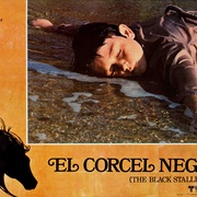 黑神驹 The Black Stallion