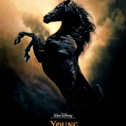 小黑马 The Young Black Stallion