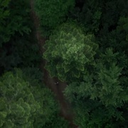 自杀森林 The Forest