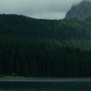 自杀森林 The Forest