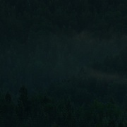 自杀森林 The Forest