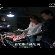 点击查看图片 冲出虫围 Bugs
