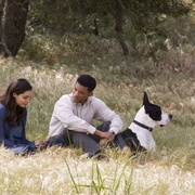 七磅 Seven Pounds