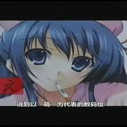 萌之英语单词 もえたん