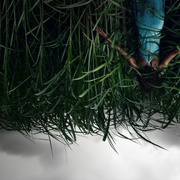 点击查看图片 高草丛中 In the Tall Grass