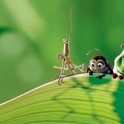 虫虫危机 A Bug's Life