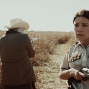 德州棉花 Texas Cotton