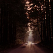 双峰  第二季 Twin Peaks Season 2
