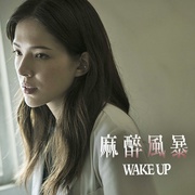 麻醉风暴2 麻醉風暴2