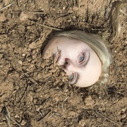 神秘的地洞 The Burrowers