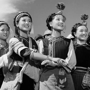 五朵金花