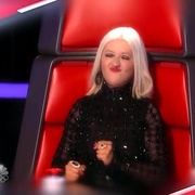 美国之声 第五季 The Voice Season 5