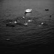 海牙 Les maudits