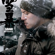 雪暴