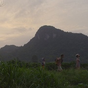 待到重逢时 Till We Meet Again
