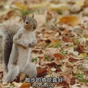 难以伺候 第一季 High Maintenance Season 1