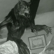 闪灵战士 Dog Soldiers