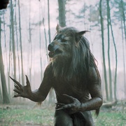 闪灵战士 Dog Soldiers