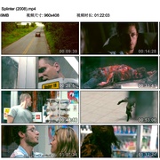 刺 Splinter