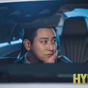 鬣狗式生存 하이에나