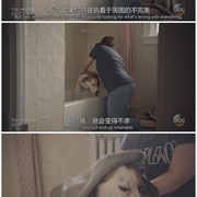 萌犬先生 Downward Dog