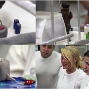 蛋糕店老板 第一季 Cake Boss Season 1