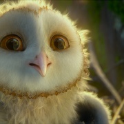 点击查看图片 猫头鹰王国:守卫者传奇 Legend of the Guardians: The Owls of Ga'Hoole